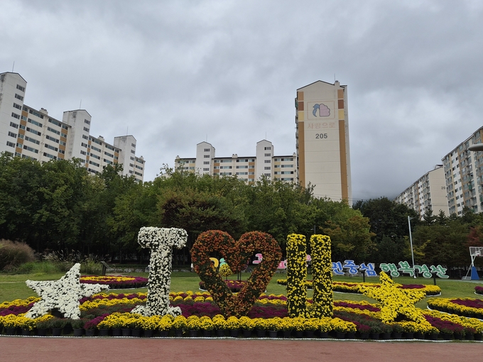 ▲ 경산 남천둔치 시정구호화단에 대규모 국화를 전시, 다채로운 볼거리를 조성해 시민들에게 도심 속 힐링 공간을 제공하고 있다. 경산시.