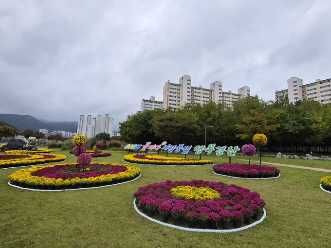 ▲ 경산 남천둔치 시정구호화단에 대규모 국화를 전시, 다채로운 볼거리를 조성해 시민들에게 도심 속 힐링 공간을 제공하고 있다. 경산시.