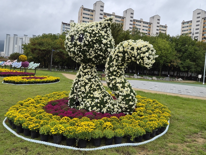 ▲ 경산 남천둔치 시정구호화단에 대규모 국화를 전시, 다채로운 볼거리를 조성해 시민들에게 도심 속 힐링 공간을 제공하고 있다. 경산시.