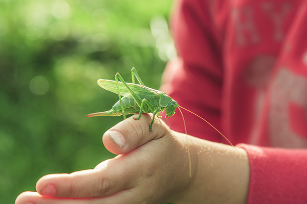클립아트코리아 제공