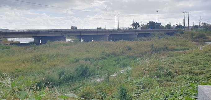 ▲ 불법 폐기물 매립 장소와 바로 인접한 포항시 북구 흥해읍 곡강천 모습. 황영우 기자