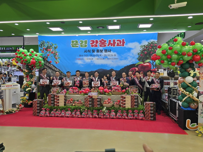 ▲ 다양한 포장 구성의 문경 감홍사과 상품 진열대 – 프리미엄 브랜드로 자리 잡은 감홍사과의 고품질 이미지를 보여준다.