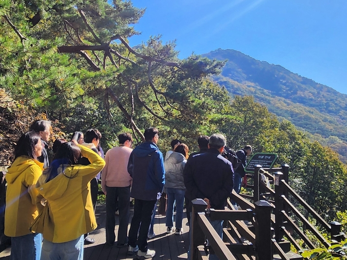 ▲ 국립제천치유의숲, - ‘스트레스 고위험군 직장인 대상 힐링 워크숍’ 운영