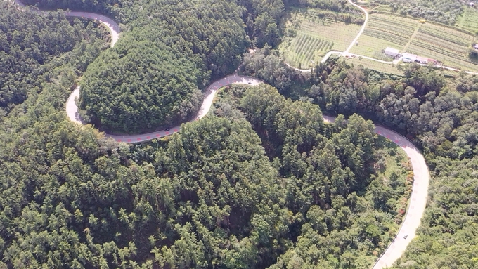 ▲ 굽이굽이 30리 길을 따라 걷다보면 자연과 사람이 하나가 되는 ‘물아일체’의 체험을 하게 된다. 하늘에서 바라본 삼자현 고갯길.