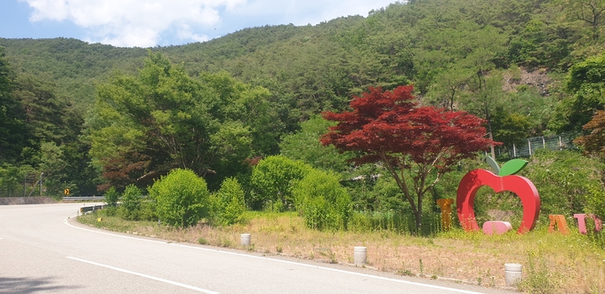 ▲ 삼자현 고갯길에 설치된 청송사과조형물이 때이른 단풍과 절묘한 조화를 이룬다.