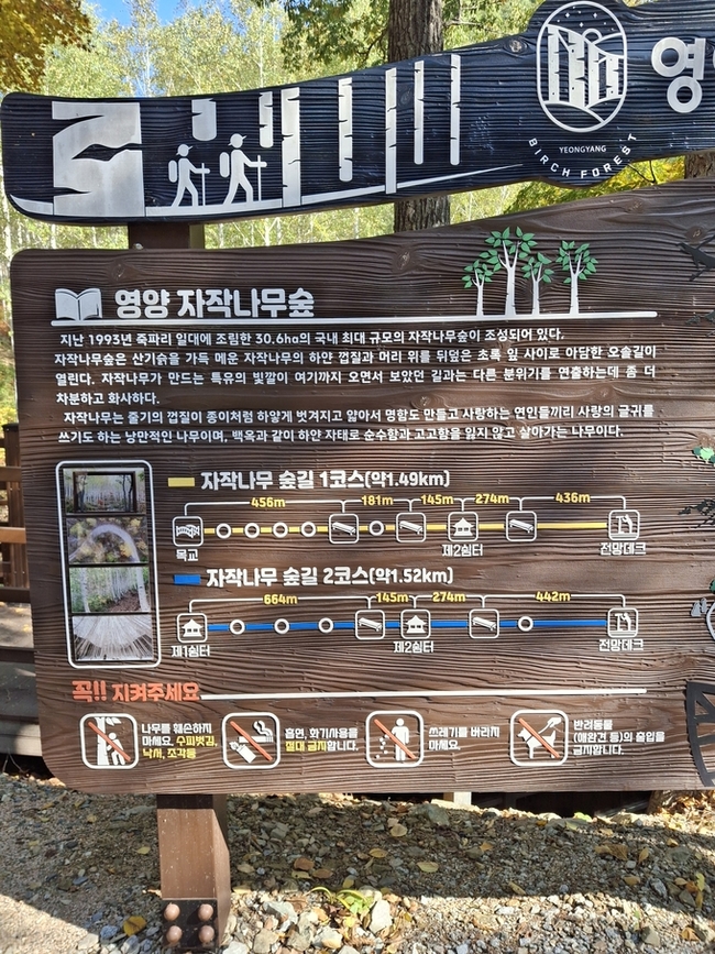 ▲ 영양군 죽파리 자작나무숲 안내판