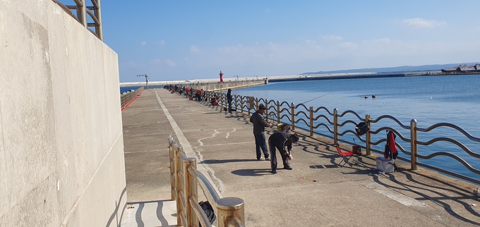 ▲ 29일 포항 영일만항 인근 부두 방파제에서 낚시하는 낚시객들 모습. 황영우 기자