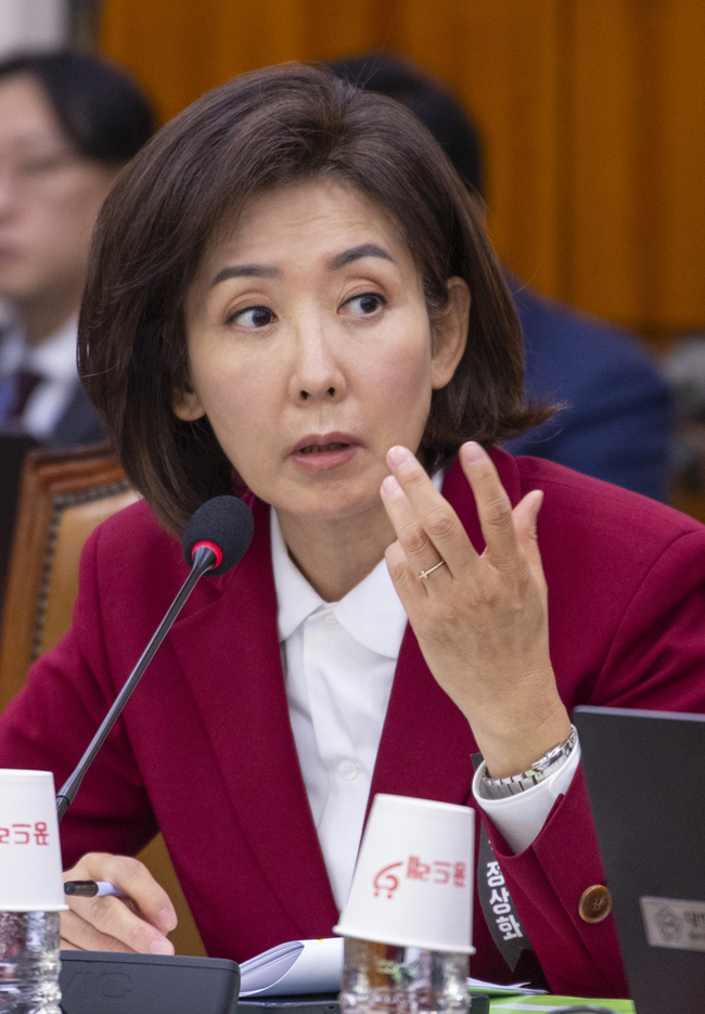 ▲ 국민의힘 나경원 의원이 27일 국회 법제사법위원회에서 열린 2025년 대검찰청 국정감사에서 질의하고 있다.  연합뉴스