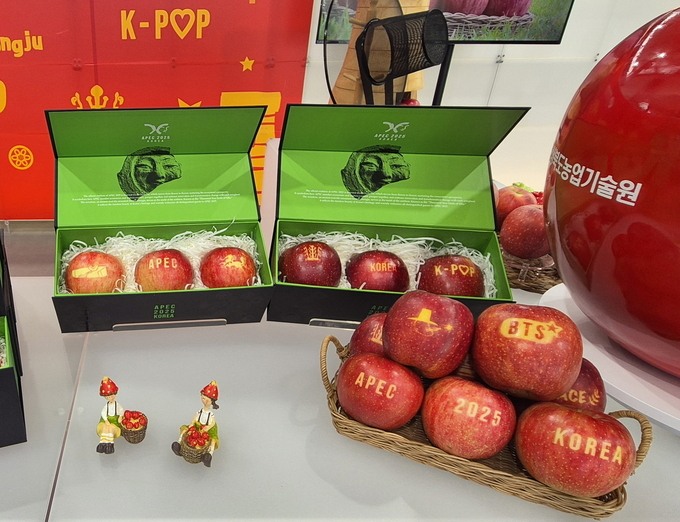 ▲ APEC 2025 정상회의 공식 행사장에 진열된 ‘문경 감홍 문자사과’. 금관과 첨성대 문양이 새겨진 사과가 세계 각국 대표단의 관심을 끌었다