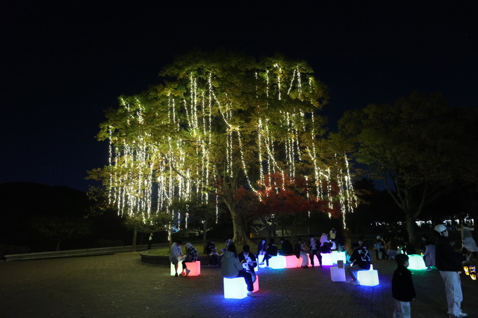 ▲ 31일 저녁 경주시 황남동 경주 대릉원 일원에서 국가유산 미디어아트 ‘대릉원 몽화’가 연출돼 관광객들에게 인기를 끌고 있다.김영환 기자 yhk@kyongbuk.com