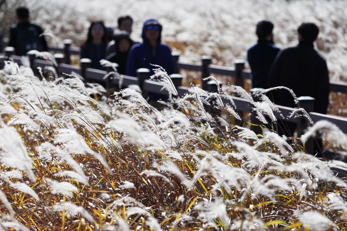 ▲ 2일 오후 대구 달서구 대명 유수지에서 시민들이 깊어져 가는 가을을 만끽하며 산책하고 있다. 연합