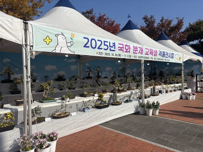 ▲ 국화를 통한 일상 속의 화훼 저변 확대는 물론 생활 원예 교육의 성과를 알리는 국화 분재 작품 전시회가  10월 30일부터 11월 2일까지 4일간,  삼성현역사문화공원에서 개최됐다. 경산시.