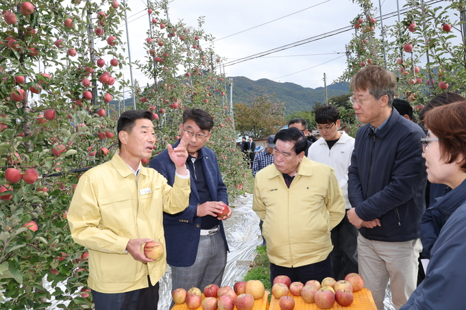 ▲ 포항시의회 김일만 의장과 이재진 부의장, 김상백 포항시의원 등은 지난달 31일 청하·기계면 일대 가을장마 피해지역을 둘러보며 대응방안을 모색했다.