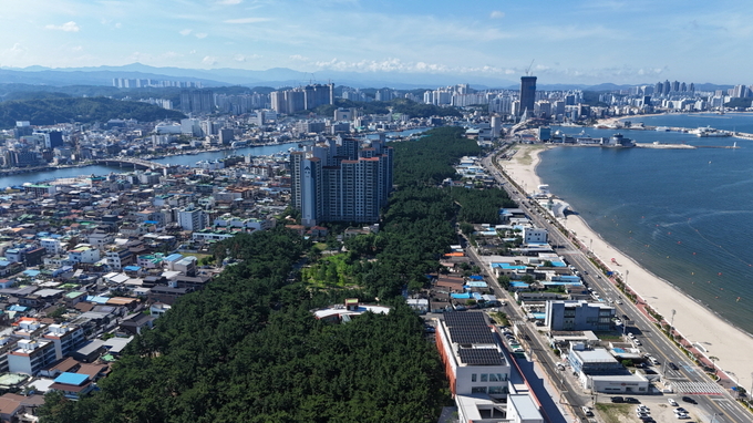 ▲ 송도솔밭 도시숲 전경