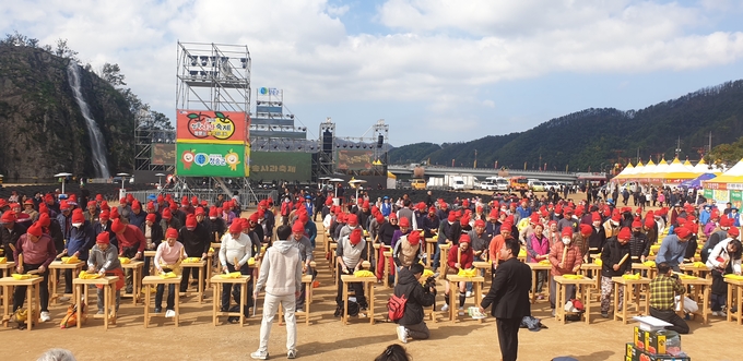 ▲ 제19회 청송사과축제 기간중 진행된 ‘꿀잼-사과난타’ 게임에 참여한 관광객들이 사과가 담긴 팩을 방망이로 두드리고 있다. 게임이 사용된 사과는 사과잼의 재료로 사용된다. 서충환 기자