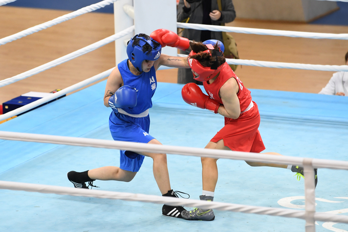 ▲ ‘제13회 한국실업복싱협회장배 전국실업복싱대회’가 3일부터 5일까지 영주시민운동장 대한복싱훈련장에서 열리며, 300여 명의 선수들이 출전해 기량을 겨루고있다.