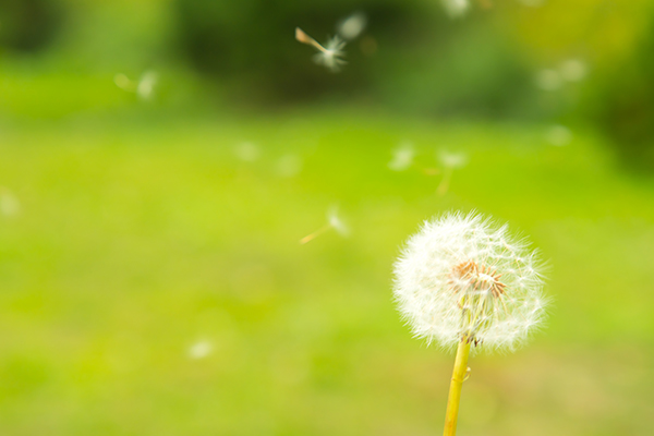 클립아트코리아 제공