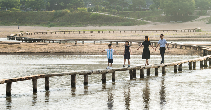 ▲ 무섬마을 외나무다리.