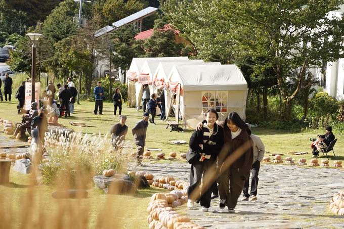 ▲ 울릉호박재즈페스티벌이 지난 1일과 2일 울릉천국 아트센터 일원에서 열렸다. 1500여 개의 호박으로 조성된 ‘호박로드’.  울릉군 제공