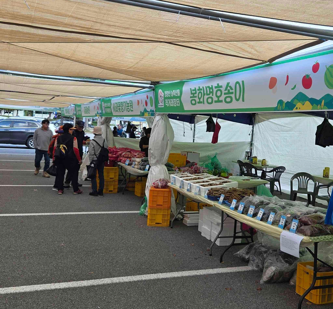 ▲ 가을 단풍철을 맞아 지난 10월 25일부터 이달 23일까지 운영되는 ‘봉화 청량산 농특산물 직거래장터’는 봉화군 명호면 관북 3개 마을(관창1리, 관창2리, 북곡리) 농가들이 직접 재배·수확한 햇사과, 고추, 산나물, 호박, 각종 약초, 버섯 등 다양한 지역 농산물을 만나볼 수있다.