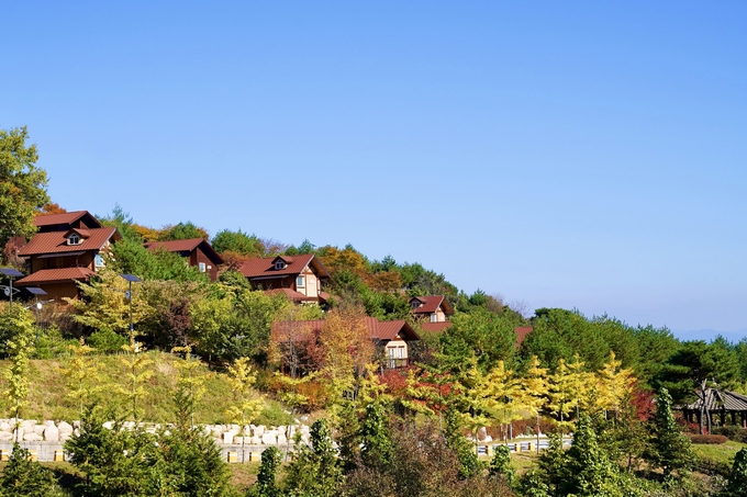 ▲ 국립산림치유원 주치마을 전경. 한국산림복지진흥원 국립산림치유원 제공