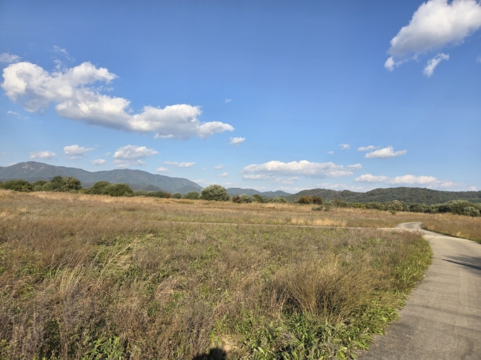 ▲ 매학정에서 고아파크골프장 가는 길. 길 옆에는 이름도 모르는  강변 식물들이 길을 따라 자라고 있다,