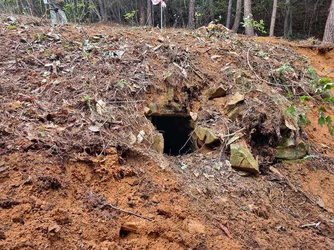 ▲ 고령 지산동 고분군 인근 도굴로 방치된 석실묘