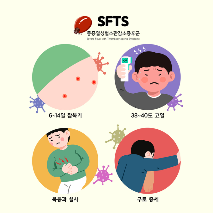 ▲ 중증열성혈소판감소증후군.클립아트코리아 제공