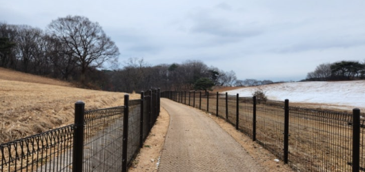 ▲ 효릉 가는 길