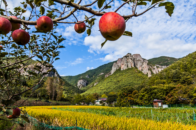 ▲ 주왕산 기암 단애. 경북일보DB
