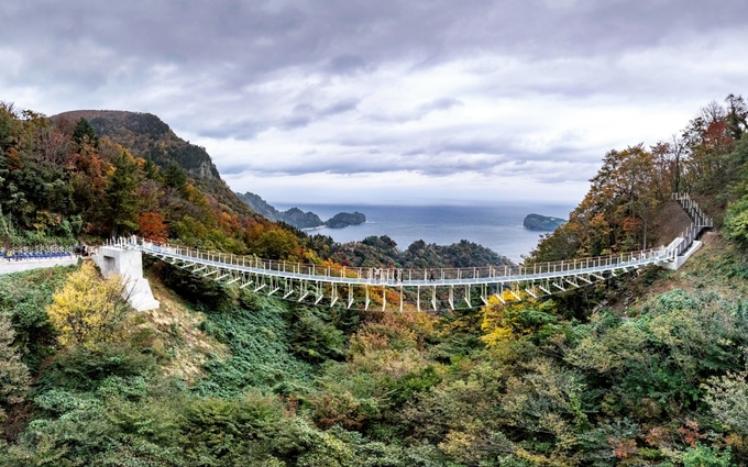 ▲ 총사업비 34억 원이 투입된 울렁다리는 해담길 3코스(내수전~석포옛길) 입구에 위치해 있으며, 길이 94.6m, 폭 1.5m, 높이 16m 규모의 보행 전용 현수교다. 사진 울릉군