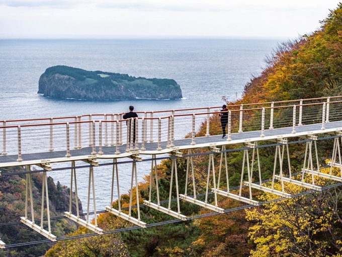 ▲ 다리 위에서는 해안 절벽과 계곡을 한눈에 내려다보는 짜릿한 조망과 함께 죽도와 바다 풍광이 어우러진 장관을 감상할 수 있다. 사진 울릉군