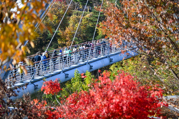 ▲ 영주시는 오는 15일 오전 9시 30분, 영주댐 일원에서 ‘2025 영주댐 전국 건강걷기대회’를 개최한다(지난해 자료사진)