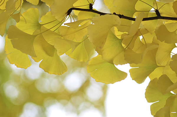 클립아트코리아 제공