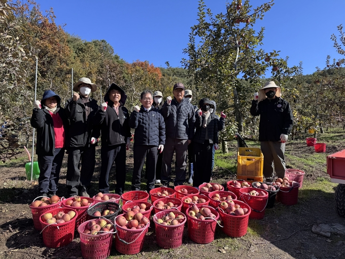 ▲ 대구 군위군 부계면 행정복지센터 직원 15명은 10일 부계면 신화리의 한 과수 농가를 찾아 사과 수확작업을 지원한 후 기념촬영을 하고 있다. 군위군