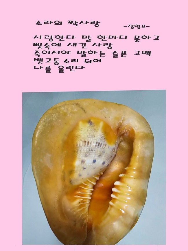 ▲ 대상을 수상한 디카시 정형표 작품 ‘소라의 짝사랑’.