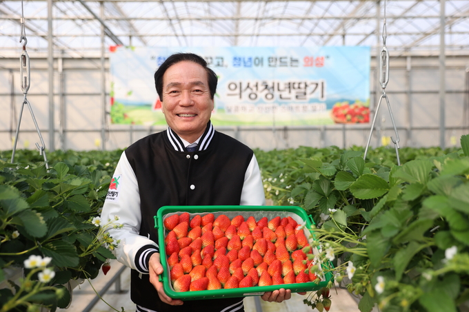 ▲ 김주수 의성군수가 스마트팜을 통해 수확한 ‘의성 청년딸기’를 살펴보며 청년농업인 중심의 첨단농업 육성 의지를 밝히고 있는 모습. 의성군