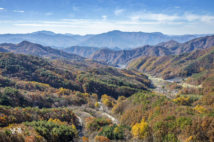 ▲ 11일 오전 충북 영동군 도마령(刀馬岺)이 늦가을의 정취로 짙게 물들었다. 서영기 객원기자