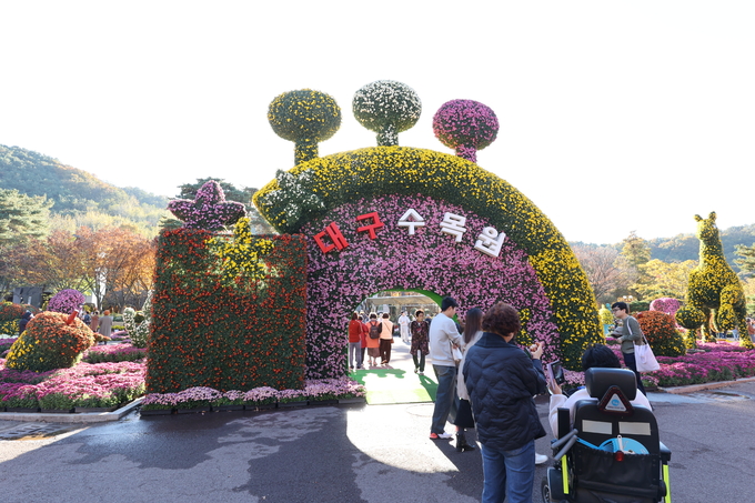 ▲ 대구 달서구 대곡동 대구수목원에서 국화전시회가 열리고 있는 가운데 11일 오후 많은 시민들이 이곳을 찾아 국화를 감상하며 완연한 가을을 만끽하고 있다.김영환 기자yhk@kyongbuk.com