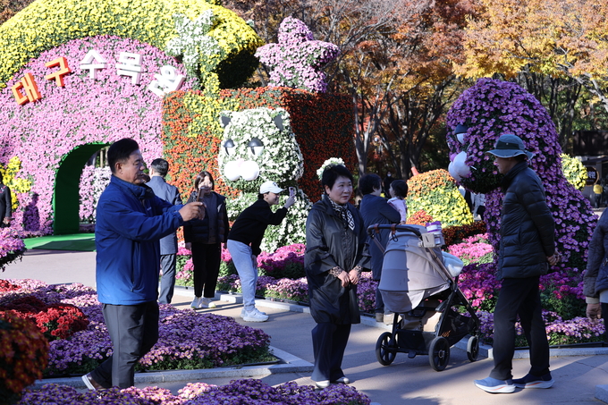 ▲ 대구 달서구 대곡동 대구수목원에서 국화전시회가 열리고 있는 가운데 11일 오후 많은 시민들이 이곳을 찾아 국화를 감상하며 완연한 가을을 만끽하고 있다.김영환 기자yhk@kyongbuk.com