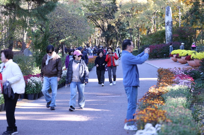 ▲ 대구 달서구 대곡동 대구수목원에서 국화전시회가 열리고 있는 가운데 11일 오후 많은 시민들이 이곳을 찾아 국화를 감상하며 완연한 가을을 만끽하고 있다.김영환 기자yhk@kyongbuk.com