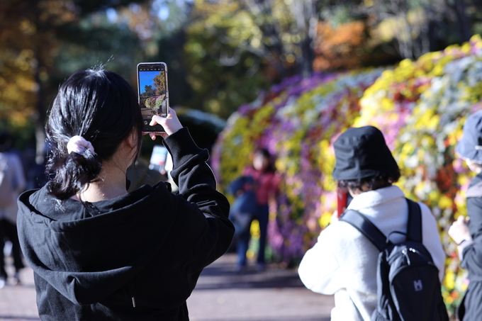 ▲ 대구 달서구 대곡동 대구수목원에서 국화전시회가 열리고 있는 가운데 11일 오후 많은 시민들이 이곳을 찾아 국화를 감상하며 완연한 가을을 만끽하고 있다.김영환 기자yhk@kyongbuk.com