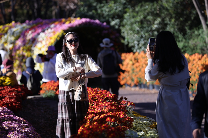 ▲ 대구 달서구 대곡동 대구수목원에서 국화전시회가 열리고 있는 가운데 11일 오후 많은 시민들이 이곳을 찾아 국화를 감상하며 완연한 가을을 만끽하고 있다.김영환 기자yhk@kyongbuk.com