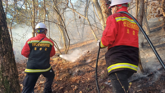 ▲ 3월 의성군 산불 현장에서 산불전문예방진화대 대원들이 연기 가득한 급경사 산림 내에서 방수호스를 활용해 잔불을 제거하며 확산 차단에 나서고 있다. 의성군
