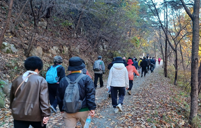 ▲ 전국 100대 아름다움 임도인 냉산 임도 걷기행사에 참가한 시민들이 가을정취를 만끽하며 걷고 있다.