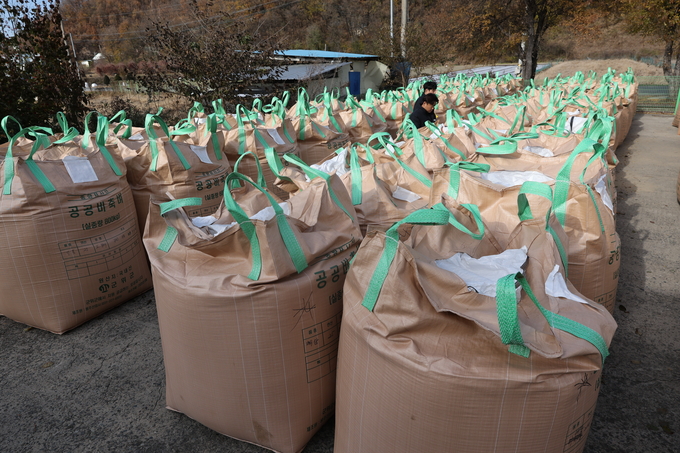 ▲ 17일 오후 대구 군위군 의흥면 읍내냉동창고에서 공공비축미 건조벼 매입과 계근 작업이 한창인 가운데 관계자들이 공공비축미를 살펴보고 있다.김영환 기자 yhk@kyongbuk.com
