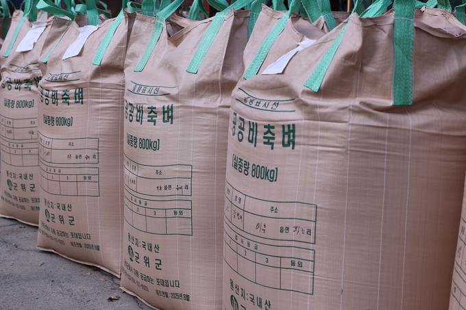 ▲ 17일 오후 대구 군위군 의흥면 읍내냉동창고에서 공공비축미 건조벼 매입과 계근 작업이 한창인 가운데 공공비축미가 줄지어 서 있다.김영환 기자 yhk@kyongbuk.com