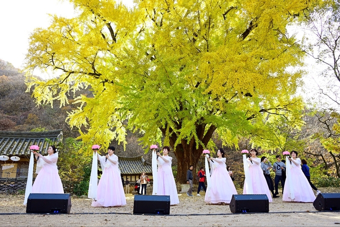 ▲ 지난 16일 경주 운곡서원에서 열린 ‘운곡서원 가을음악회’에서 한국향가문화원 단원들이 공연을 펼치고 있다. 신라문화원