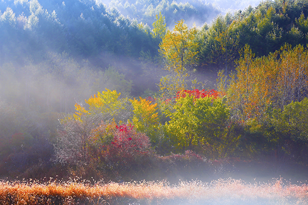 클립아트코리아 제공