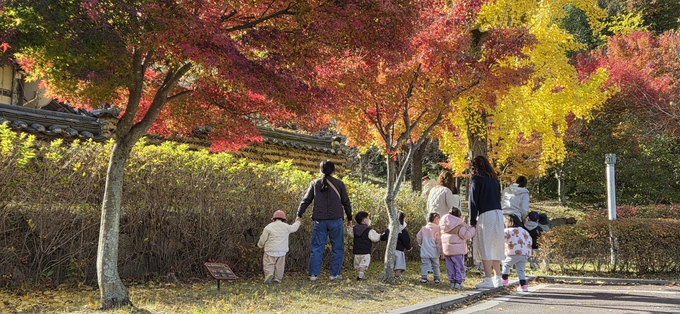 ▲ 어린이들이 임고서원을 둘러보고 있다.